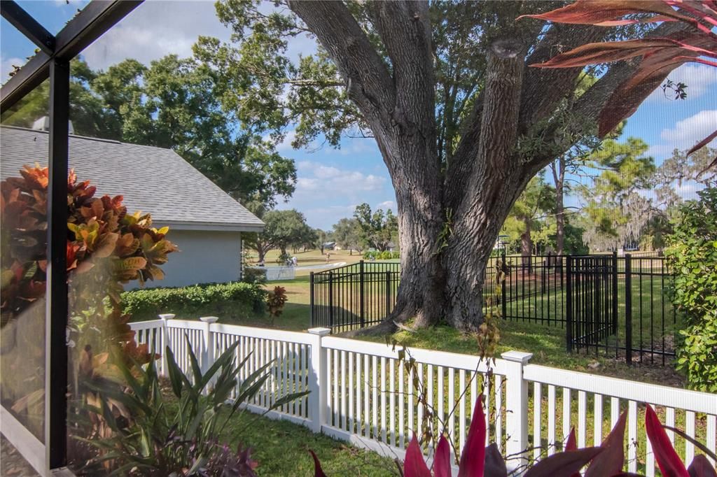 Active With Contract: $431,500 (3 beds, 2 baths, 2000 Square Feet)