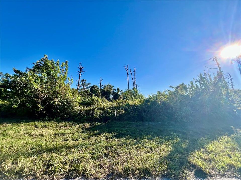 For Sale: $25,000 (0.17 acres)