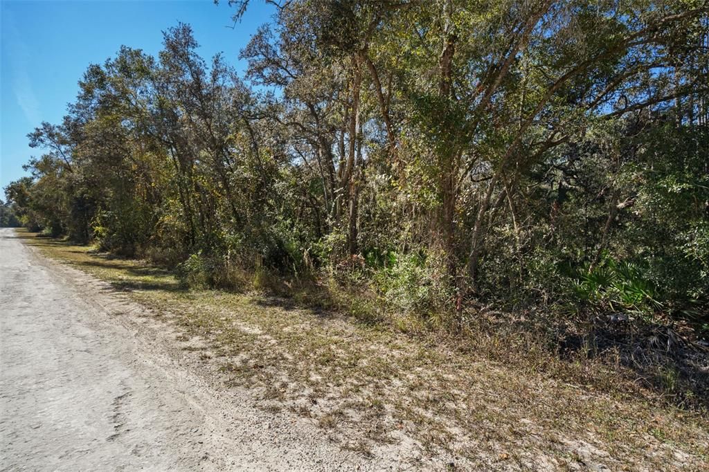 For Sale: $36,000 (1.16 acres)