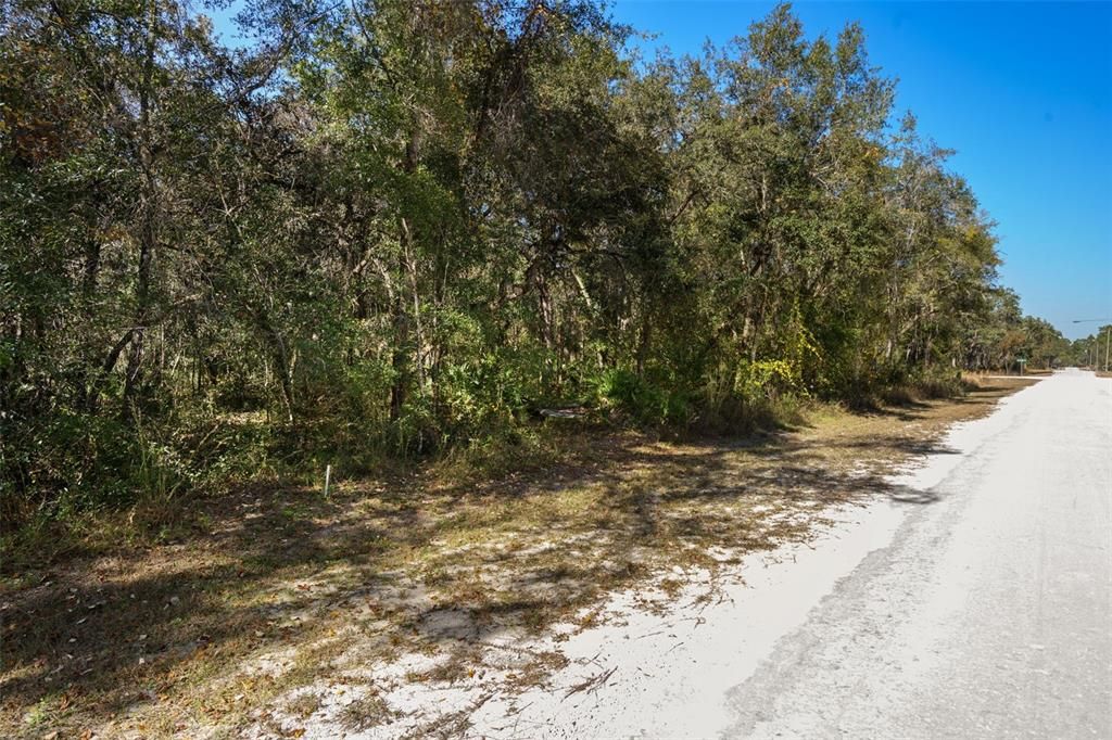 For Sale: $36,000 (1.16 acres)