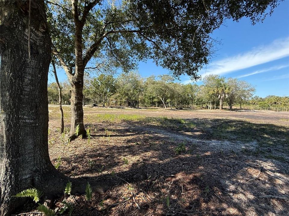 For Sale: $69,900 (1.25 acres)
