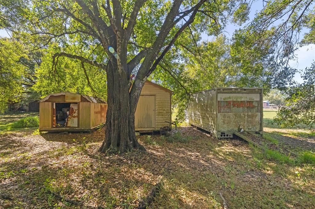 For Sale: $370,000 (3 beds, 2 baths, 988 Square Feet)