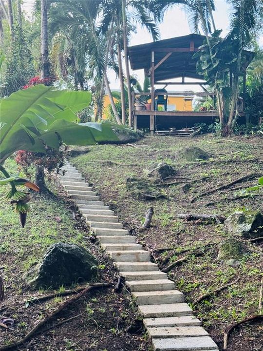 На продажу: $299,000 (3 спален, 2 ванн, 1556 Квадратных фут)