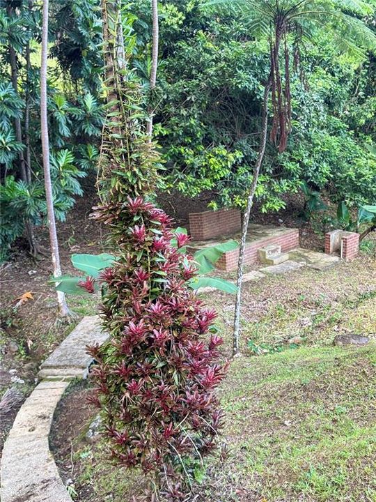 На продажу: $299,000 (3 спален, 2 ванн, 1556 Квадратных фут)