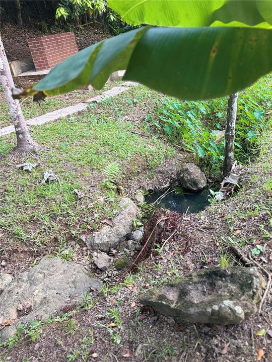 На продажу: $299,000 (3 спален, 2 ванн, 1556 Квадратных фут)