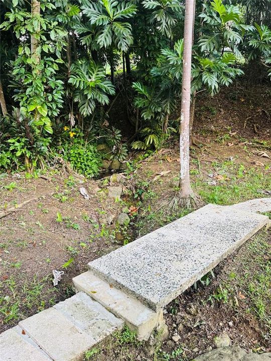 На продажу: $299,000 (3 спален, 2 ванн, 1556 Квадратных фут)