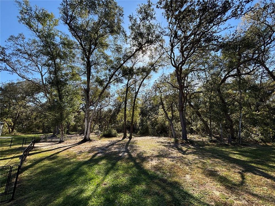 待售: $239,000 (3 贝兹, 2 浴室, 1387 平方英尺)