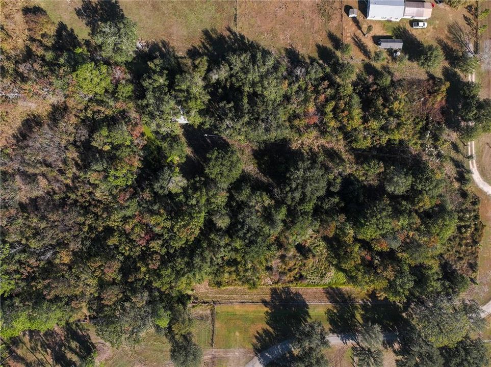 На продажу: $175,000 (5.00 acres)