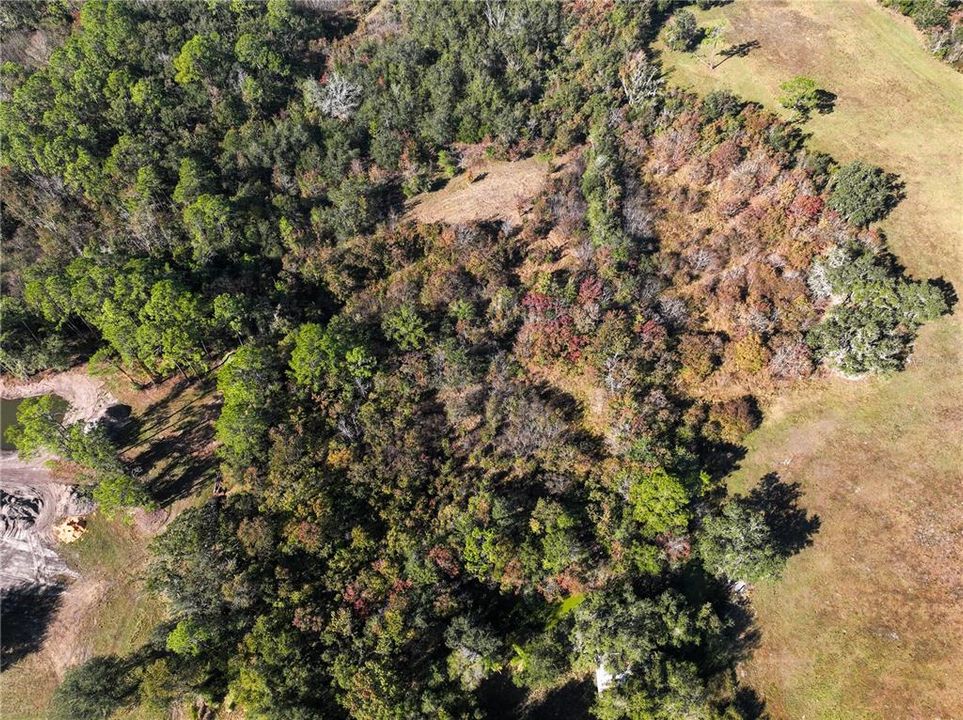 На продажу: $175,000 (5.00 acres)