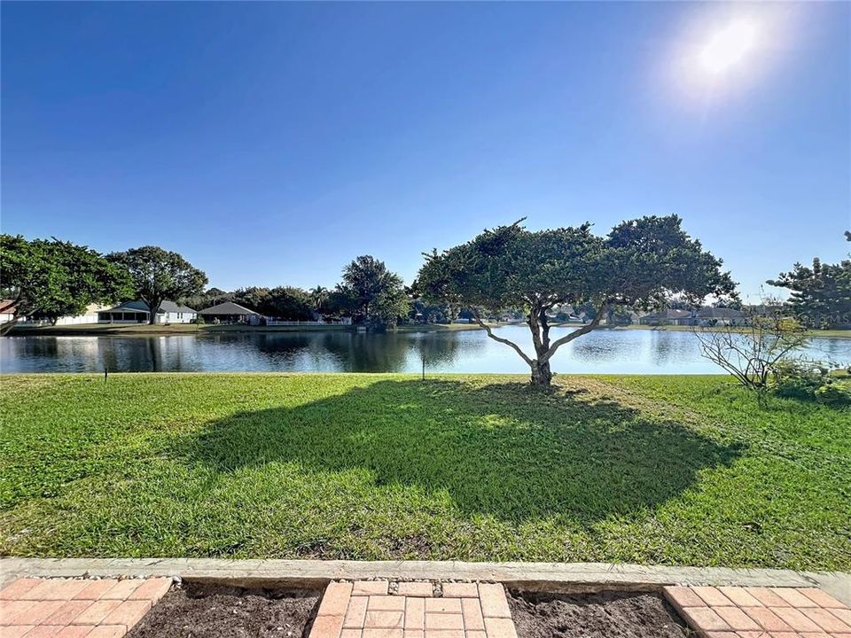 Activo con contrato: $384,500 (3 camas, 2 baños, 1265 Pies cuadrados)