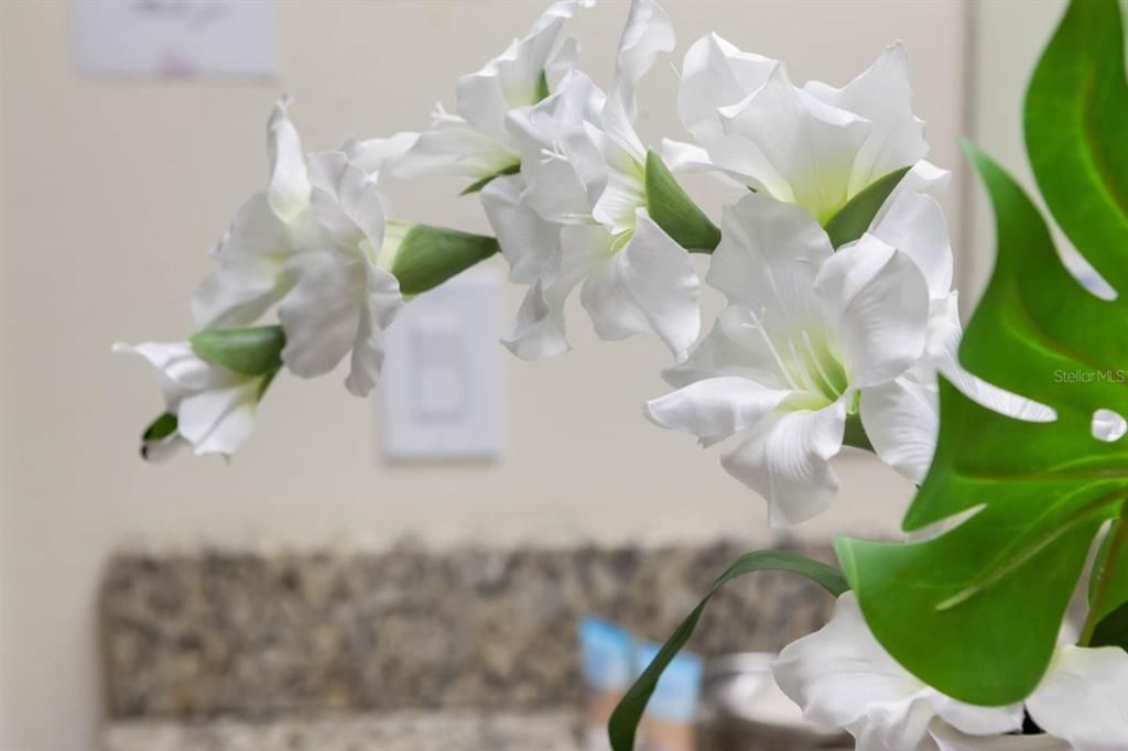 En Venta: $729,000 (8 camas, 8 baños, 4066 Pies cuadrados)