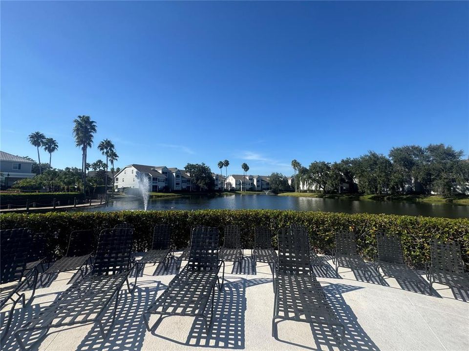 For Rent: $1,600 (1 beds, 1 baths, 724 Square Feet)