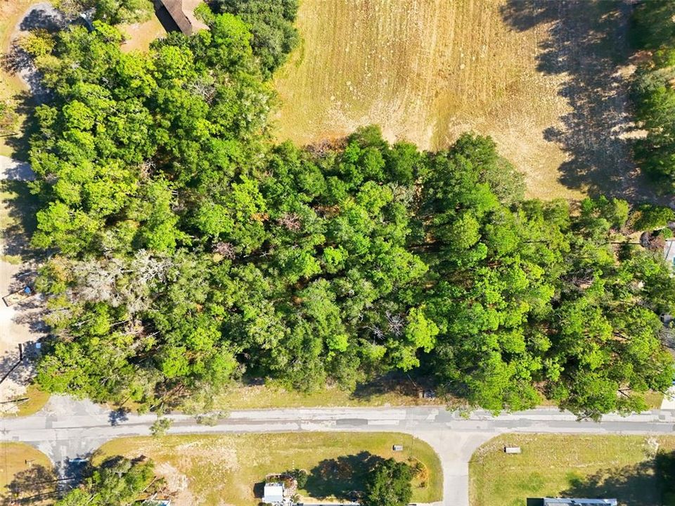 For Sale: $19,900 (0.24 acres)