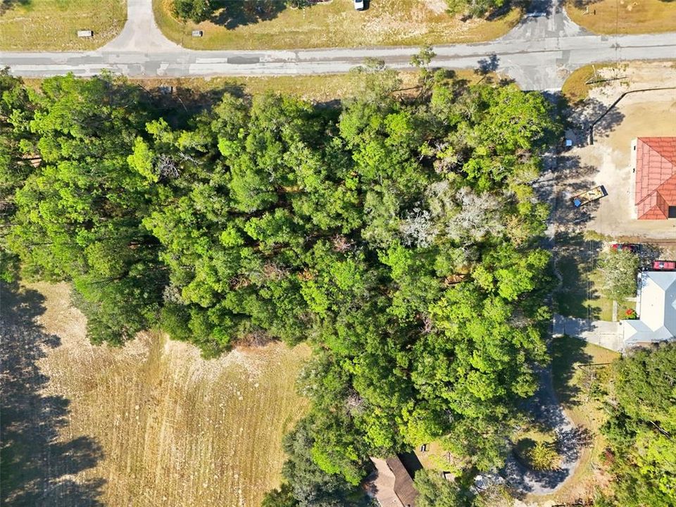 For Sale: $19,900 (0.24 acres)