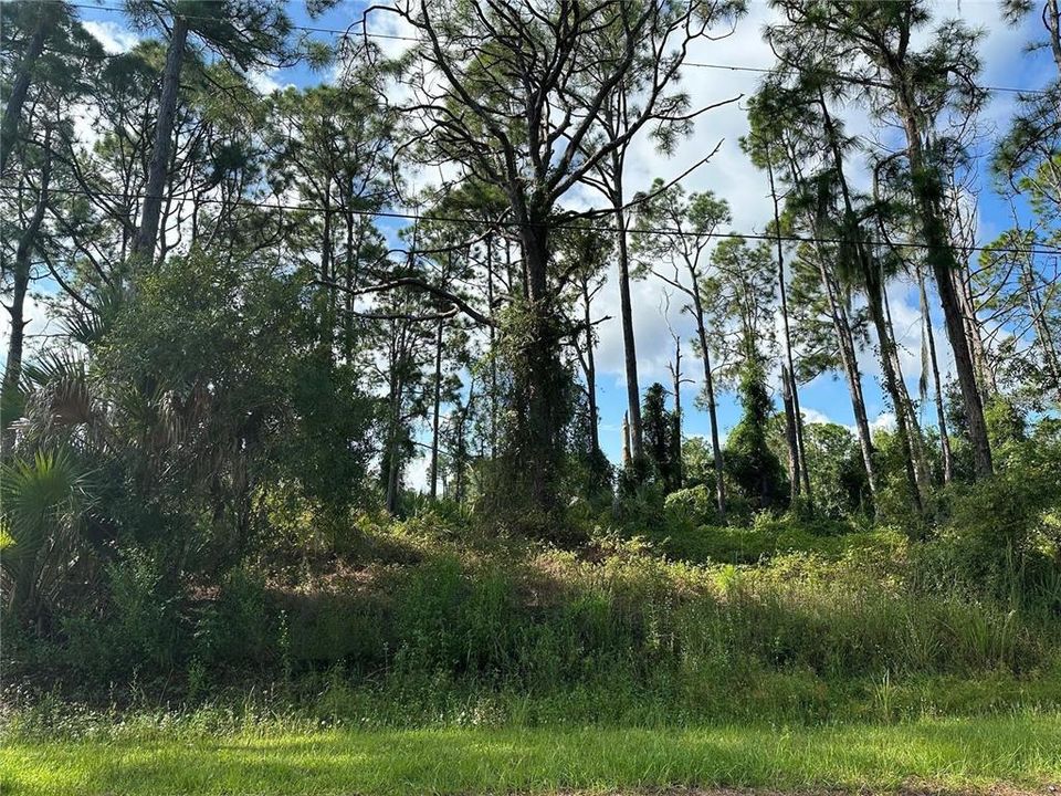 На продажу: $26,000 (0.23 acres)