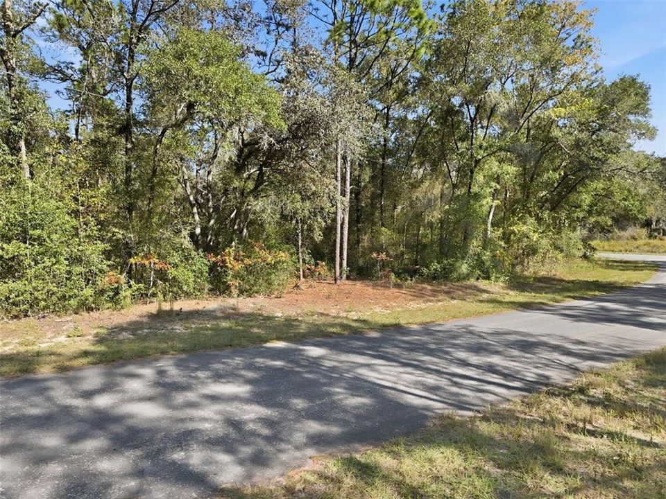 For Sale: $19,900 (0.26 acres)