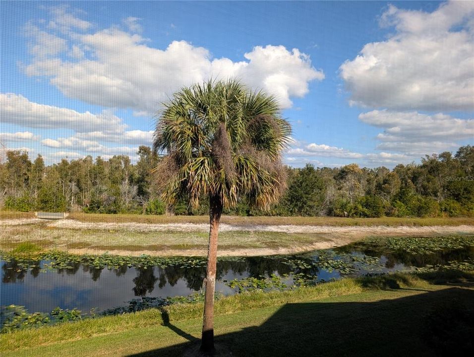 待售: $245,000 (2 贝兹, 2 浴室, 1176 平方英尺)