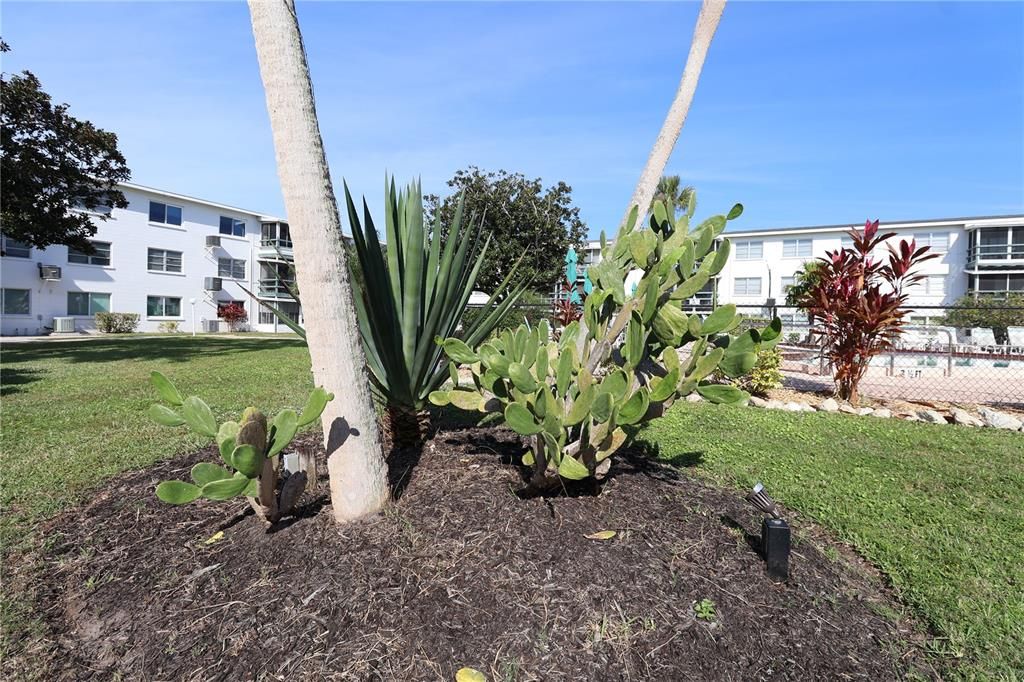 待售: $85,000 (1 贝兹, 1 浴室, 576 平方英尺)