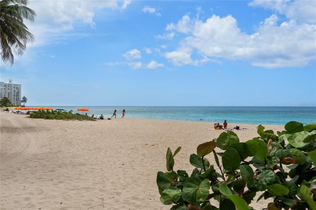 В аренду: $2,000 (1 спален, 1 ванн, 600 Квадратных фут)