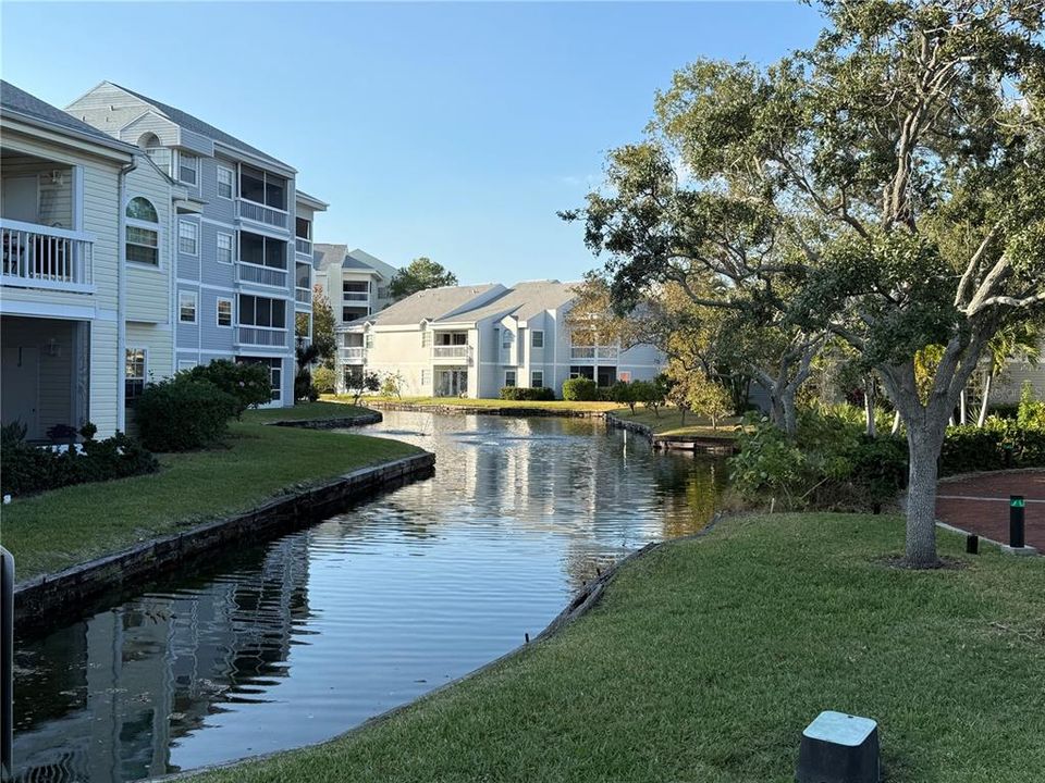 待售: $147,000 (1 贝兹, 1 浴室, 570 平方英尺)