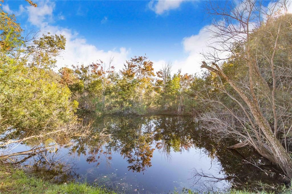 На продажу: $549,000 (5 спален, 4 ванн, 2634 Квадратных фут)