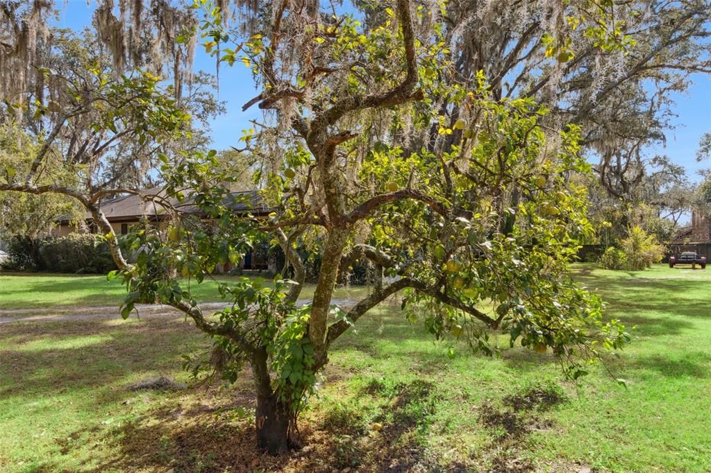 Active With Contract: $677,000 (3 beds, 2 baths, 1920 Square Feet)