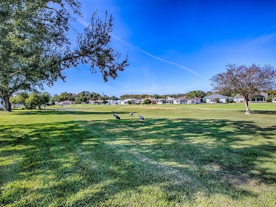 合同活跃: $349,900 (3 贝兹, 2 浴室, 1754 平方英尺)