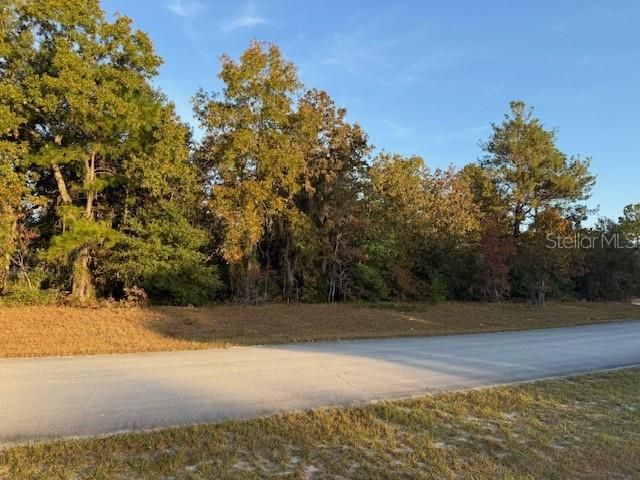 待售: $35,000 (0.25 acres)