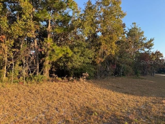 待售: $35,000 (0.25 acres)