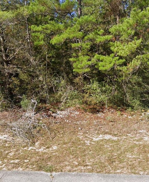 待售: $9,000 (0.23 acres)