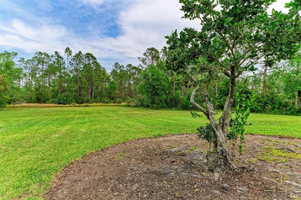 For Sale: $975,000 (4 beds, 3 baths, 2870 Square Feet)