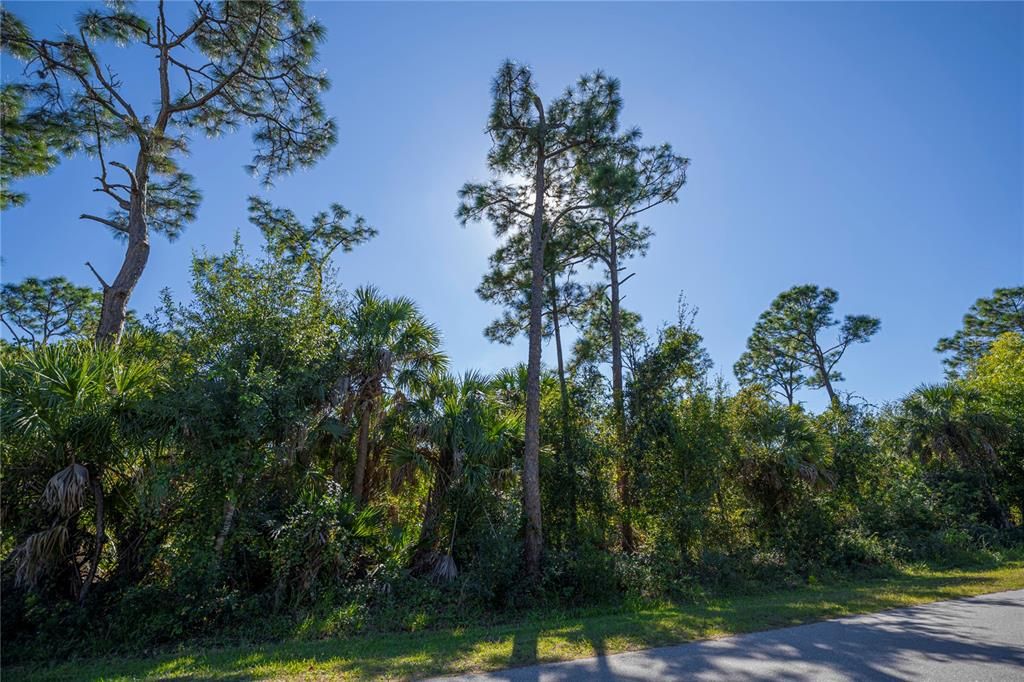 待售: $17,770 (0.18 acres)