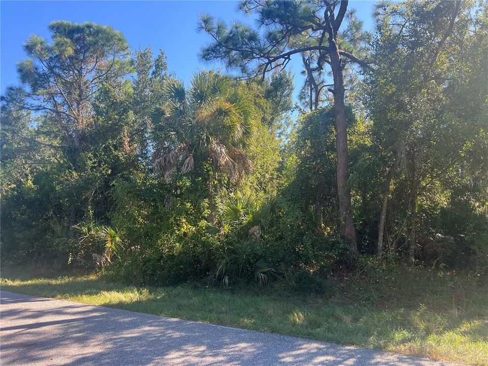 На продажу: $21,998 (0.23 acres)