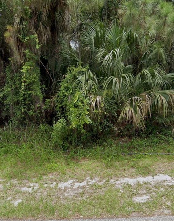 待售: $21,000 (0.23 acres)