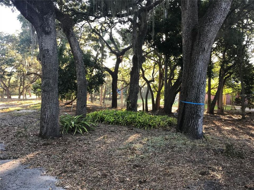 待售: $925,000 (0.85 acres)