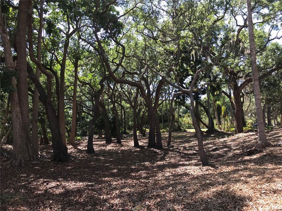 待售: $925,000 (0.85 acres)