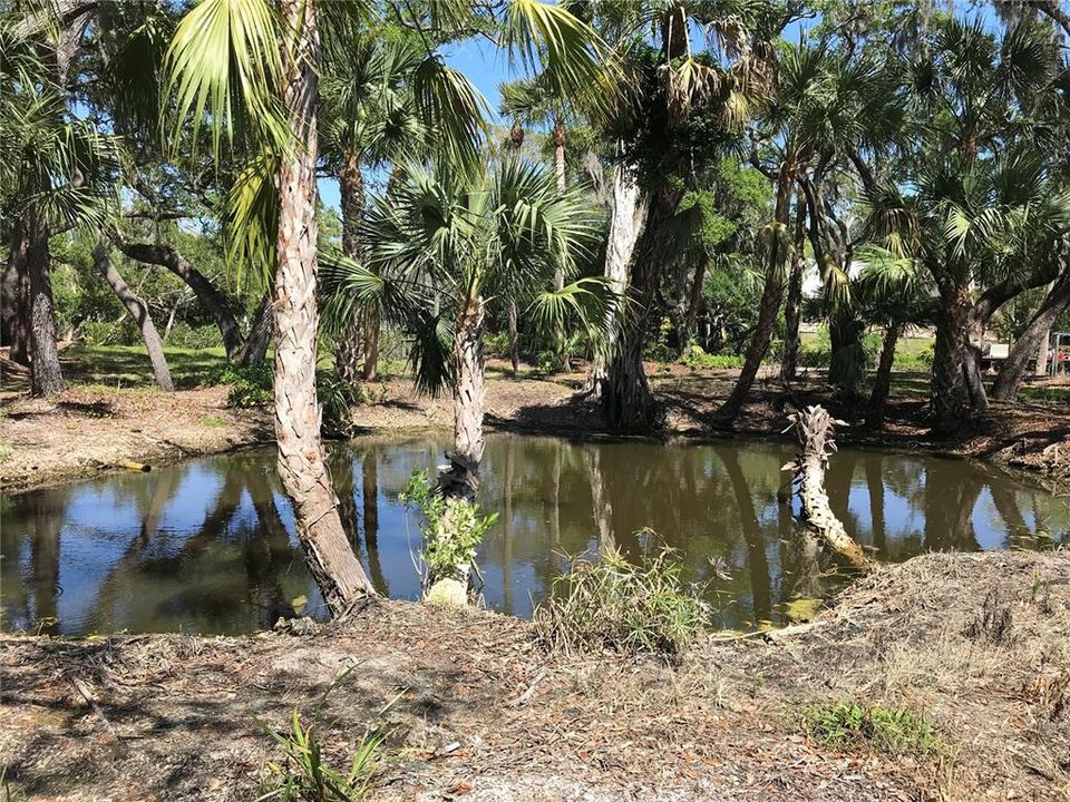 待售: $925,000 (0.85 acres)