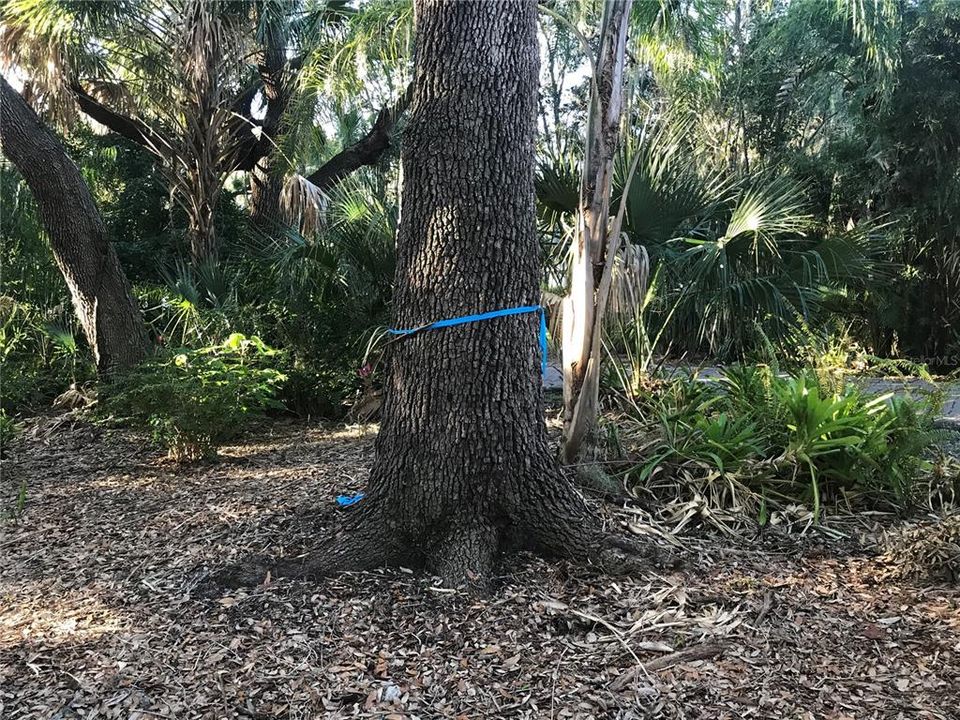 待售: $925,000 (0.85 acres)