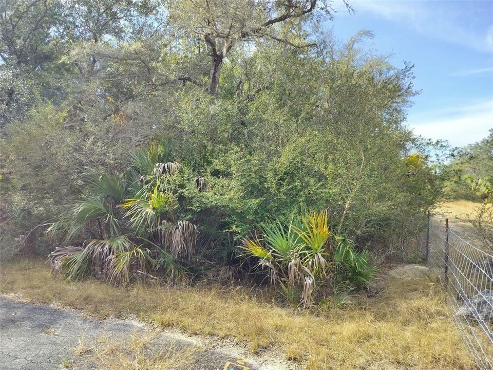 На продажу: $35,000 (1.16 acres)