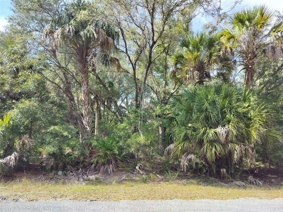 На продажу: $35,000 (1.16 acres)