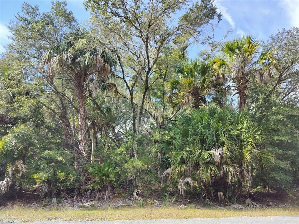 На продажу: $35,000 (1.16 acres)