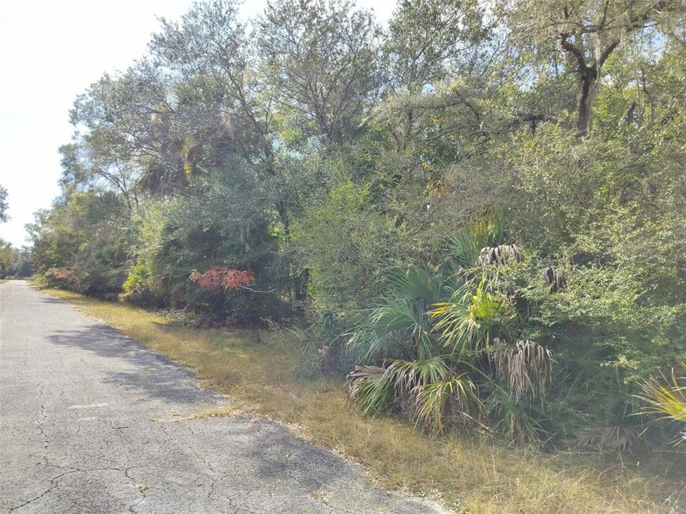 На продажу: $35,000 (1.16 acres)