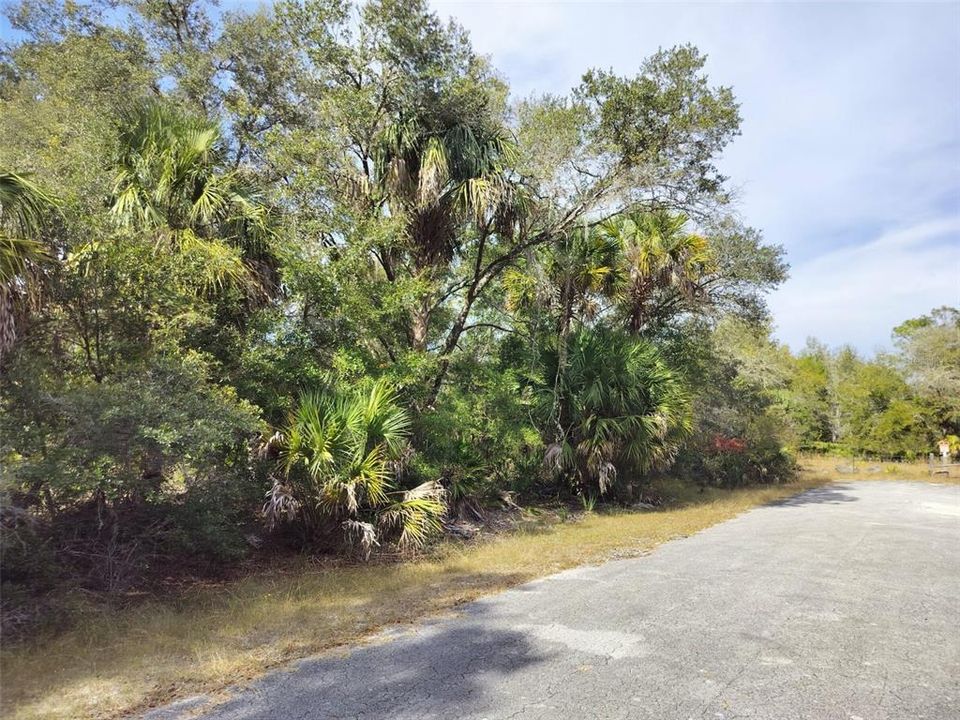 На продажу: $35,000 (1.16 acres)