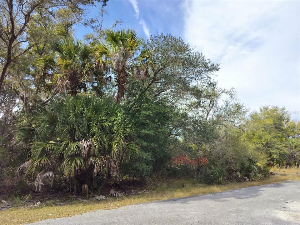 На продажу: $35,000 (1.16 acres)