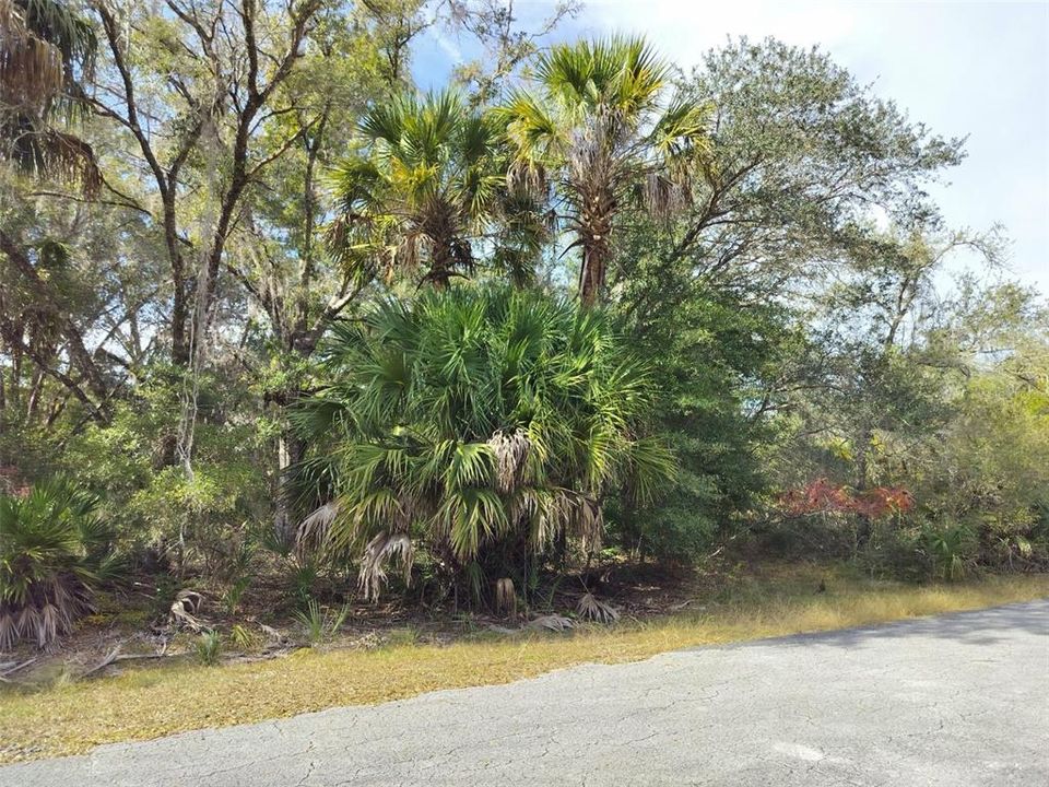 На продажу: $35,000 (1.16 acres)