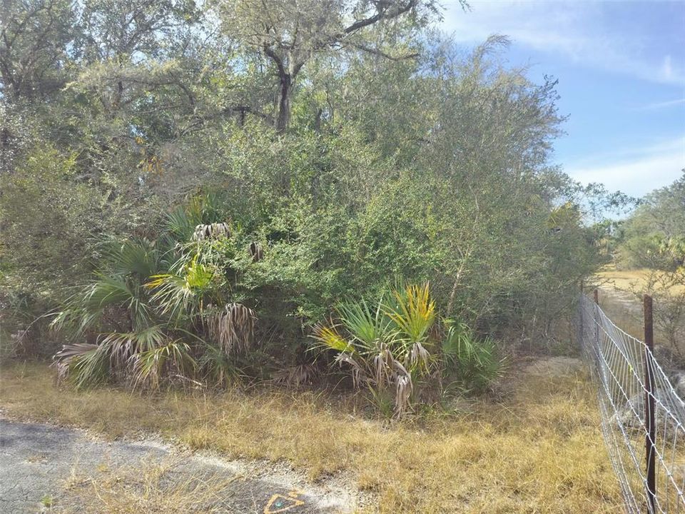 На продажу: $35,000 (1.16 acres)