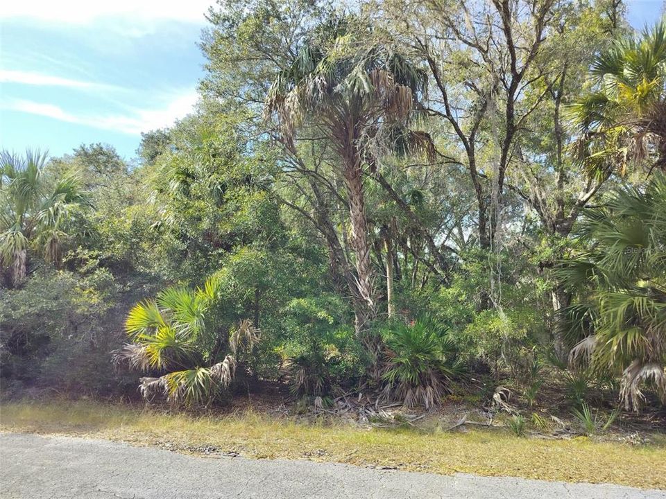 На продажу: $35,000 (1.16 acres)