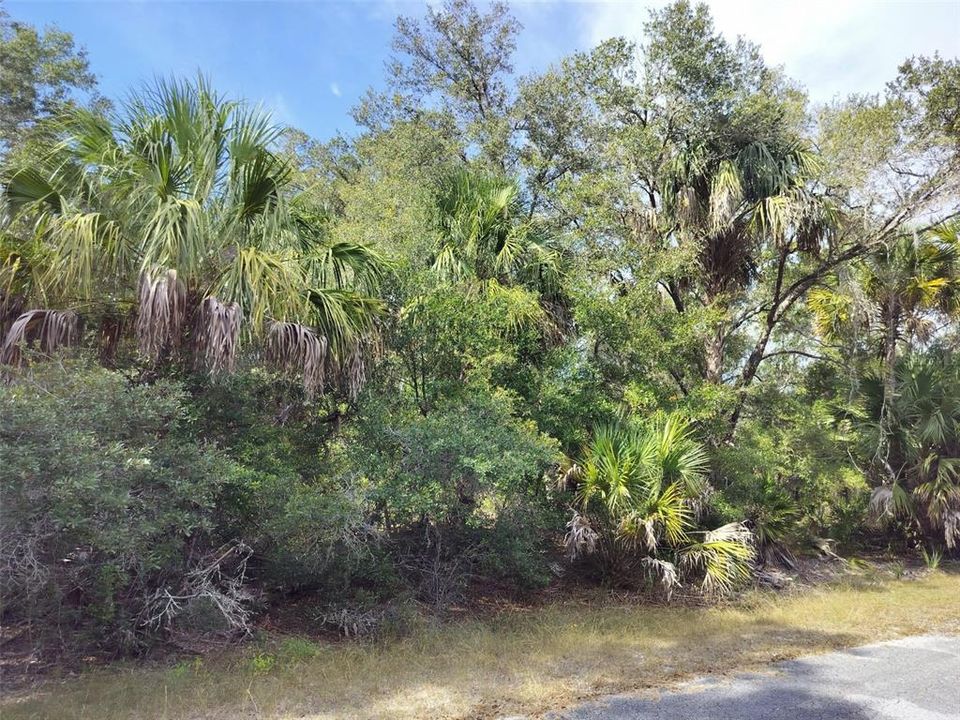 На продажу: $35,000 (1.16 acres)