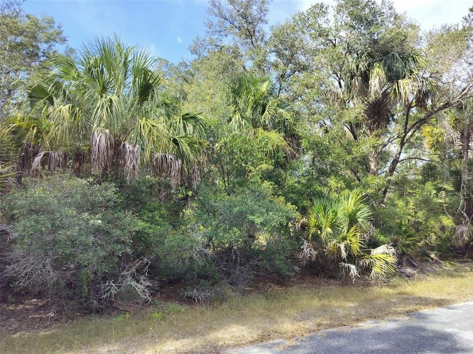 На продажу: $35,000 (1.16 acres)