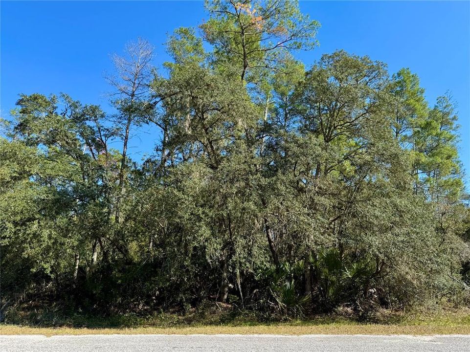 待售: $99,000 (1.00 acres)